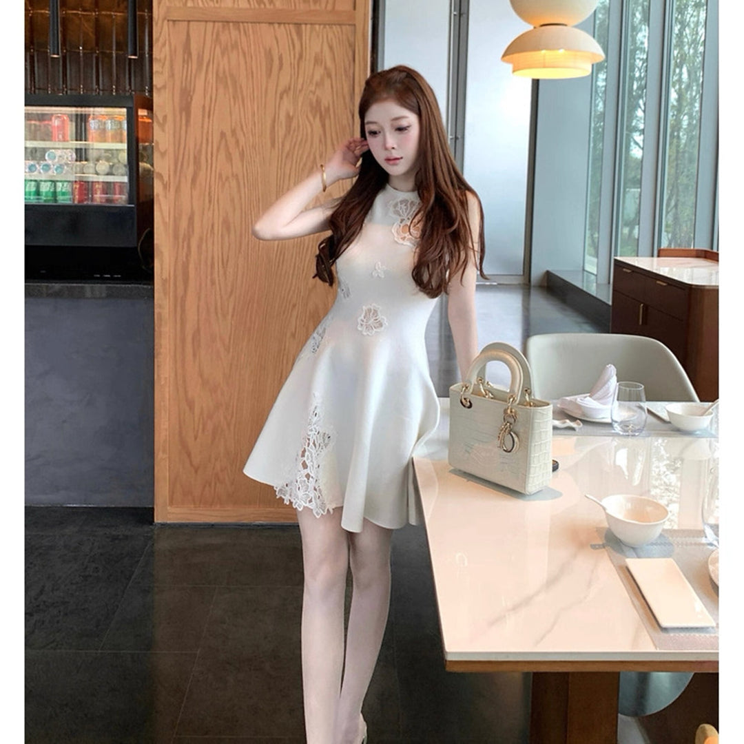 【dress】レースドッキングミニワンピース　N3564