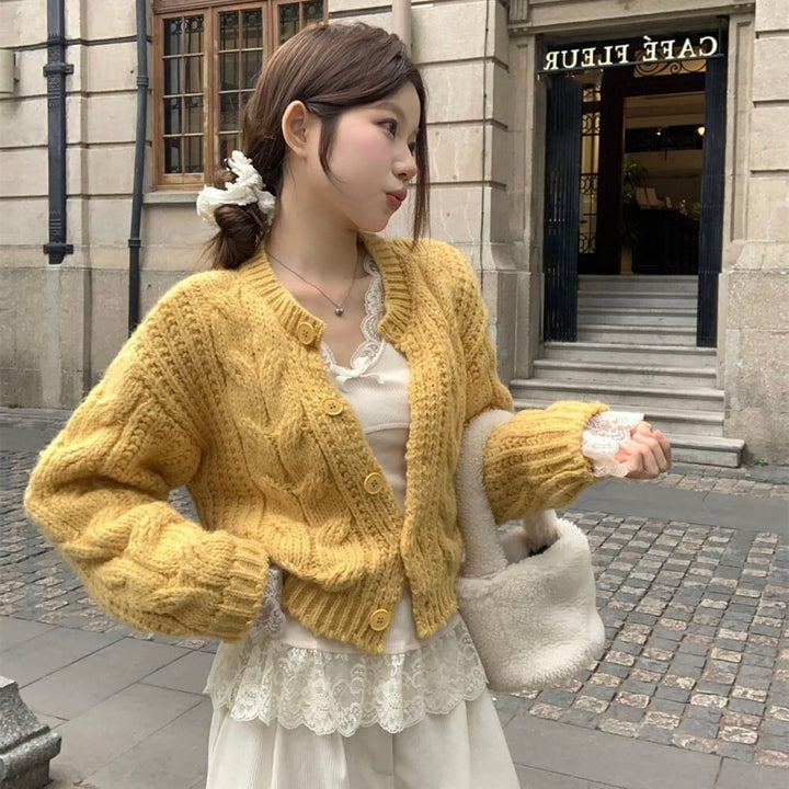 【set】ニットカーデ×レース切り替えトップスセット　M27663